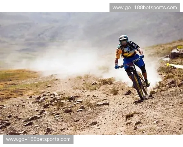 巅峰对决：秘鲁vs玻利维亚，安第斯山脉下的足球狂欢与直播盛宴