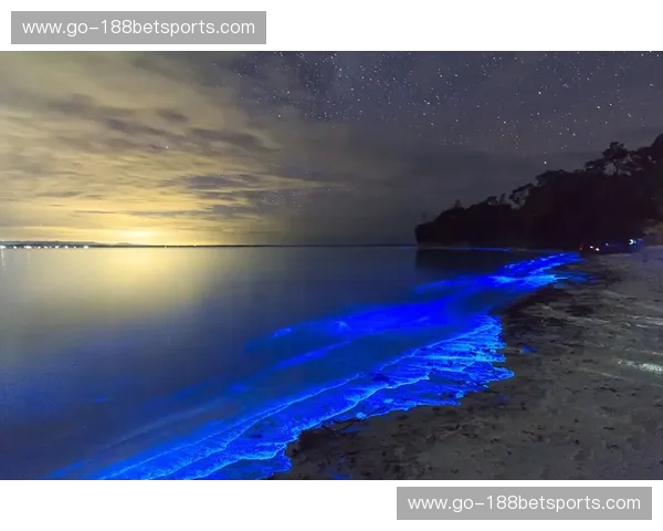 洛城紫金，南海岸烈焰：2012年总决赛，一场经典之战的永恒回响